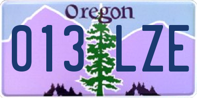 OR license plate 013LZE