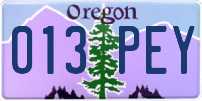 OR license plate 013PEY