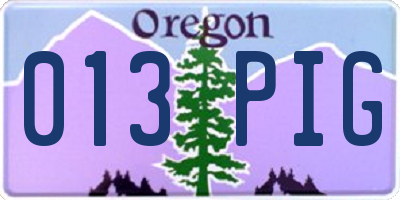 OR license plate 013PIG
