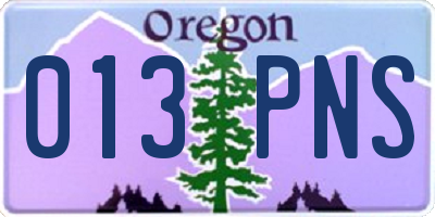 OR license plate 013PNS