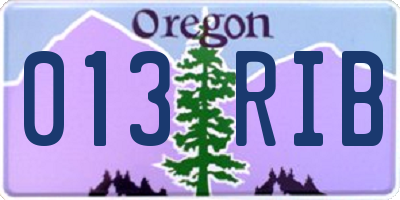 OR license plate 013RIB