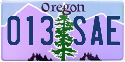 OR license plate 013SAE