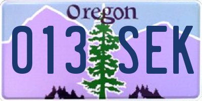 OR license plate 013SEK