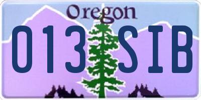 OR license plate 013SIB