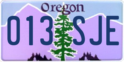 OR license plate 013SJE