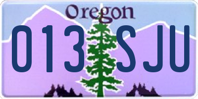 OR license plate 013SJU
