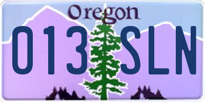OR license plate 013SLN