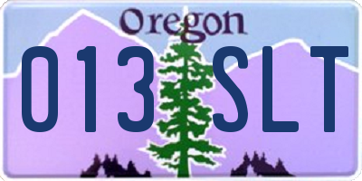OR license plate 013SLT