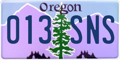 OR license plate 013SNS