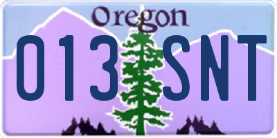 OR license plate 013SNT