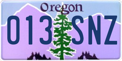 OR license plate 013SNZ