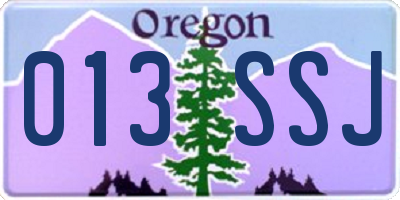 OR license plate 013SSJ