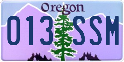 OR license plate 013SSM