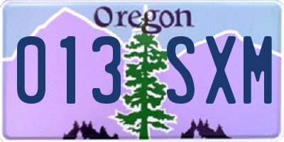 OR license plate 013SXM