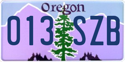 OR license plate 013SZB