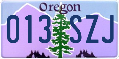 OR license plate 013SZJ