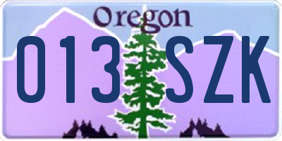 OR license plate 013SZK