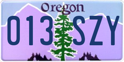 OR license plate 013SZY