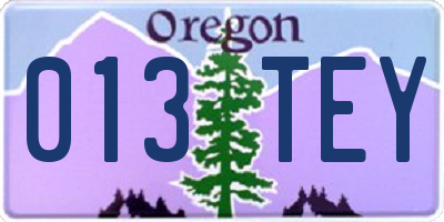 OR license plate 013TEY
