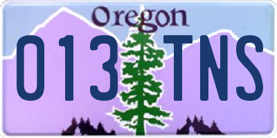 OR license plate 013TNS
