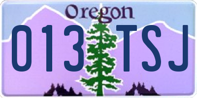 OR license plate 013TSJ