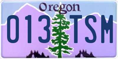 OR license plate 013TSM
