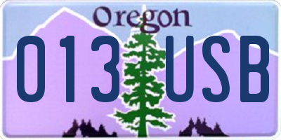 OR license plate 013USB