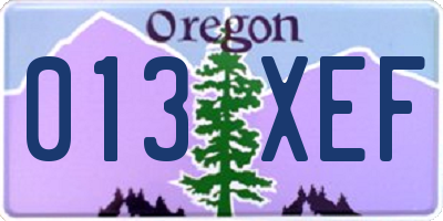 OR license plate 013XEF