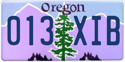 OR license plate 013XIB