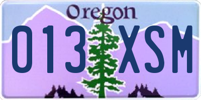 OR license plate 013XSM