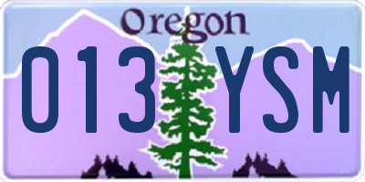 OR license plate 013YSM