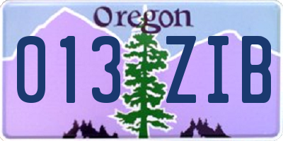 OR license plate 013ZIB