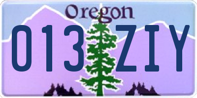 OR license plate 013ZIY