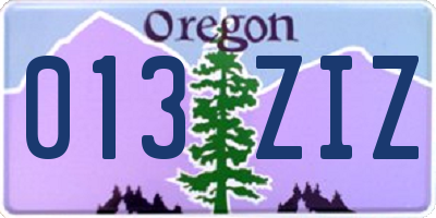 OR license plate 013ZIZ