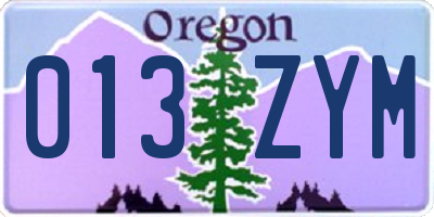 OR license plate 013ZYM