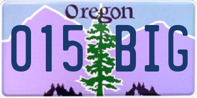 OR license plate 015BIG