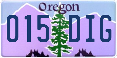 OR license plate 015DIG