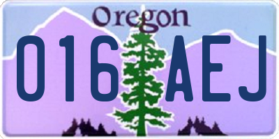 OR license plate 016AEJ
