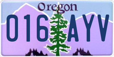 OR license plate 016AYV