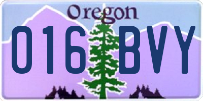 OR license plate 016BVY