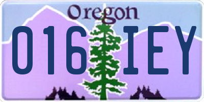 OR license plate 016IEY