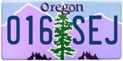 OR license plate 016SEJ
