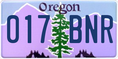 OR license plate 017BNR
