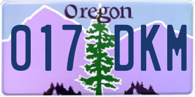 OR license plate 017DKM