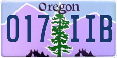 OR license plate 017IIB