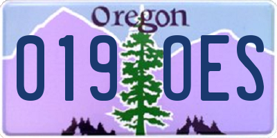 OR license plate 019OES