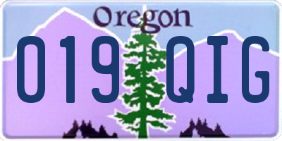 OR license plate 019QIG