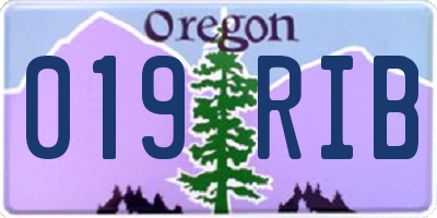 OR license plate 019RIB