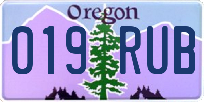 OR license plate 019RUB