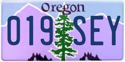 OR license plate 019SEY